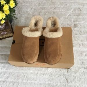 Ugg clogs Chestnut color